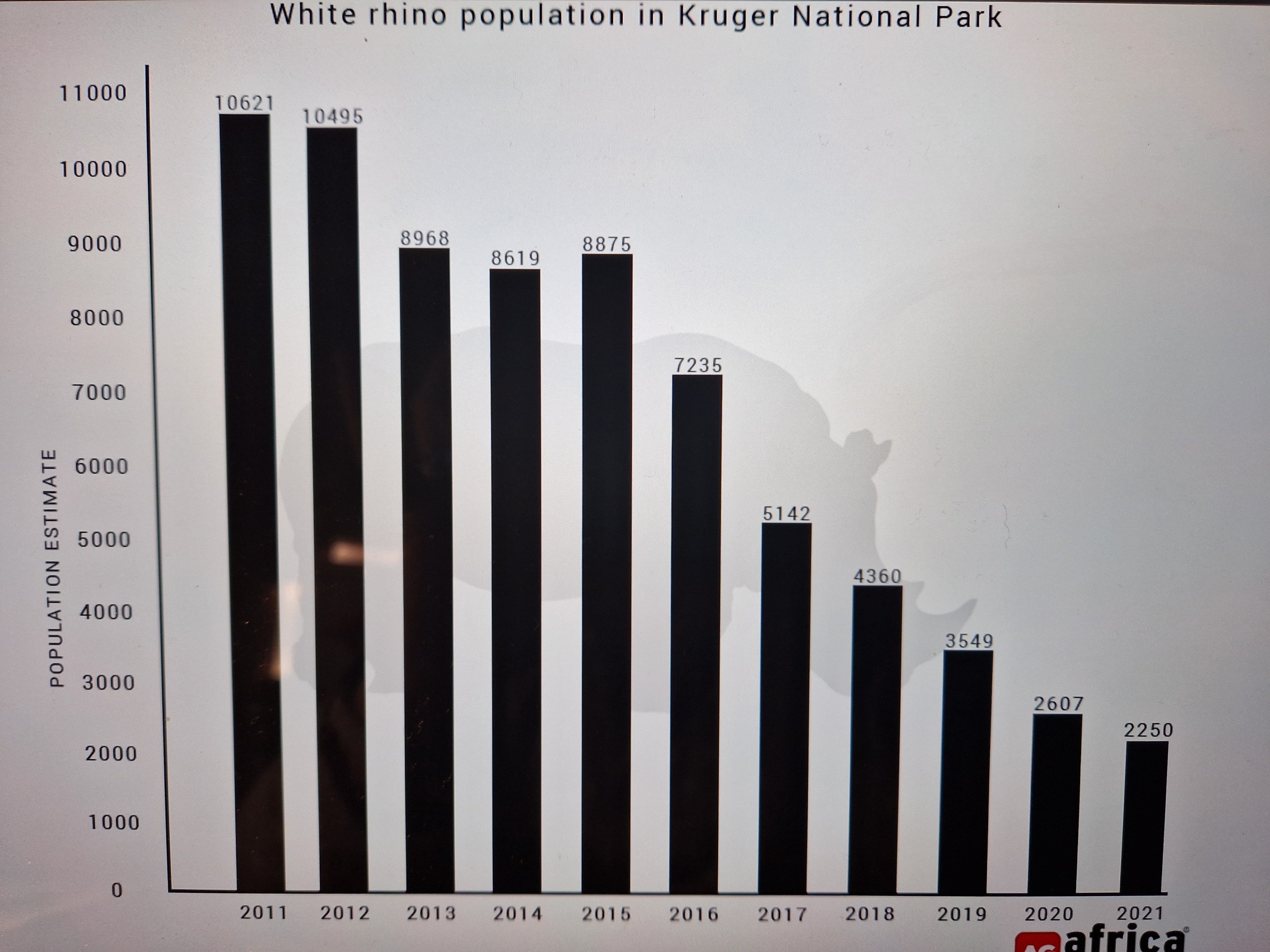 Evolution du nombre des Rhinocéros blancs dans le Parc Krüger de 2011 à 2021 selon la newsletter@africageographic.com du 30 12 2022.